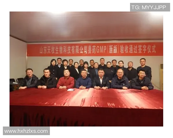 深圳网球队的崛起之路全运会特别报道见证奋斗与荣耀的历程